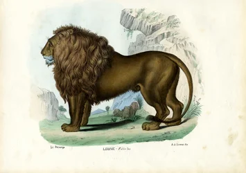 Lion, 1863-79